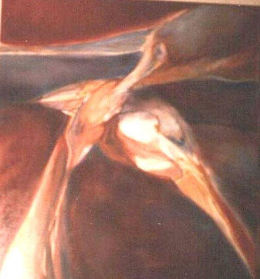 Los Pajaros Oil Canvas