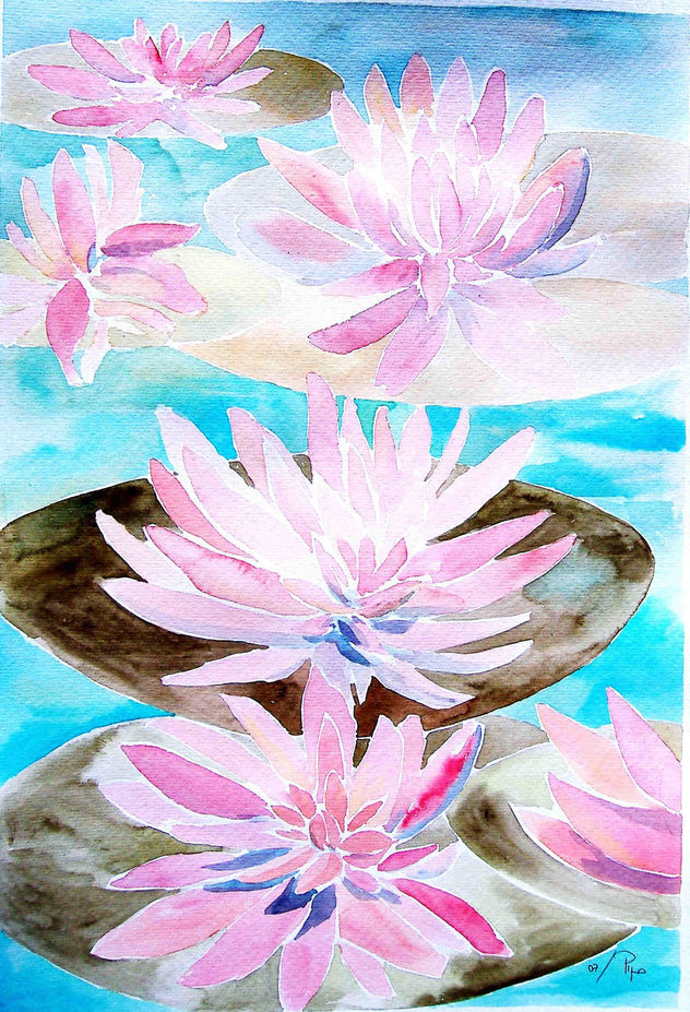 flores de loto - vendido