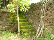 Escalera Verde