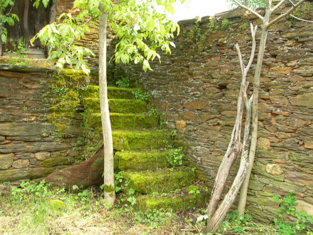 Escalera Verde 