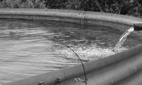 fotografia b&n