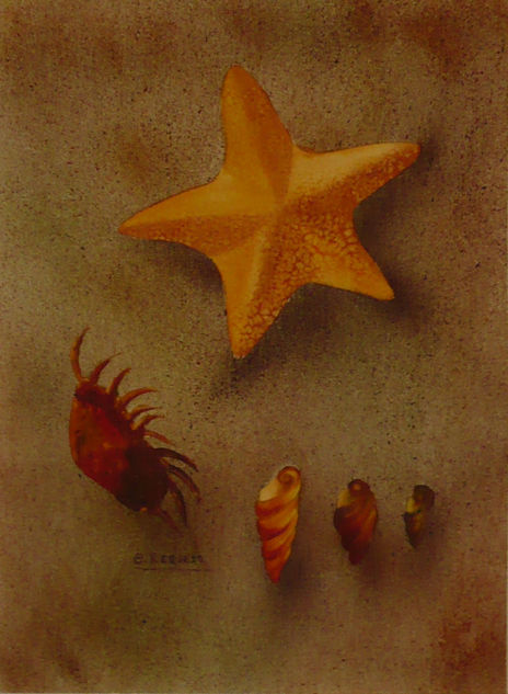 Frutos de Mar