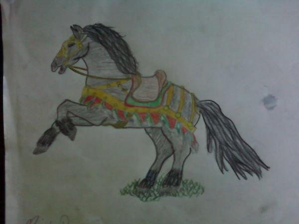 horse 