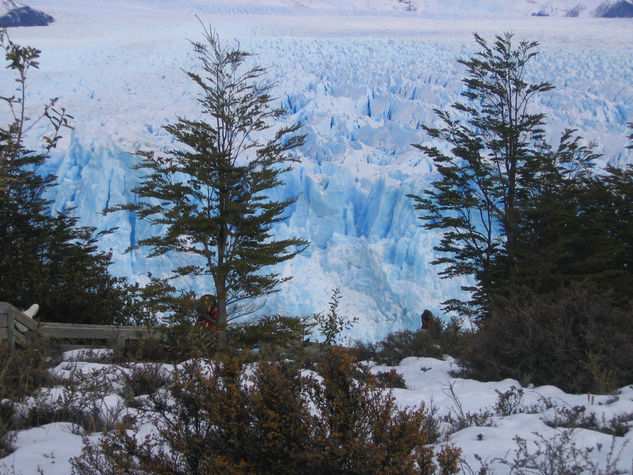 Perito Moreno Nature Color (Digital)