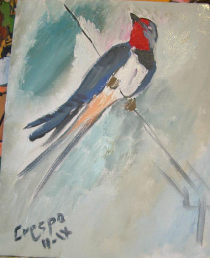 Golondrina común,
