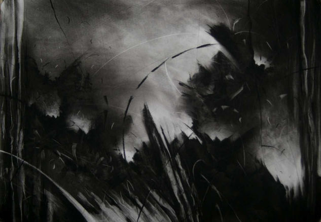 De la serie "Origenes" Charcoal