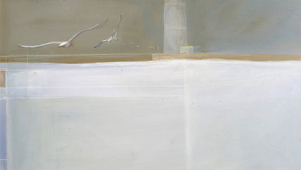 Gaviotas 3