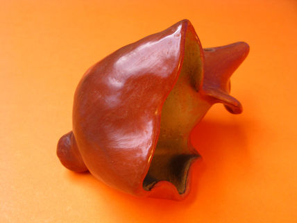 Caracola en rojo
