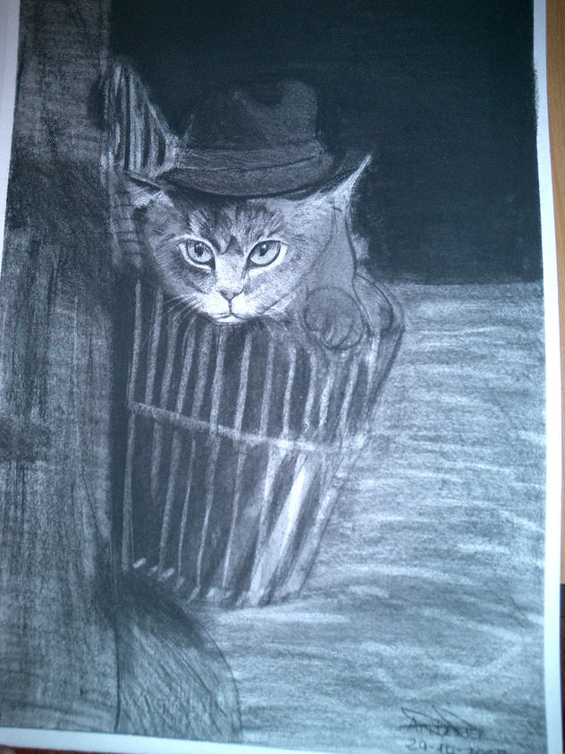 el gato félix