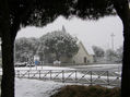 NIEVE EN LAS ROZAS