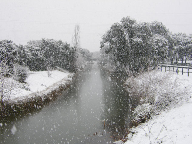 FRIO Y NIEVE 