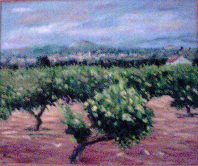 viñedos del penedés