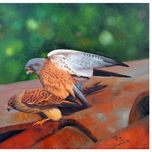 animales thumbnail 1