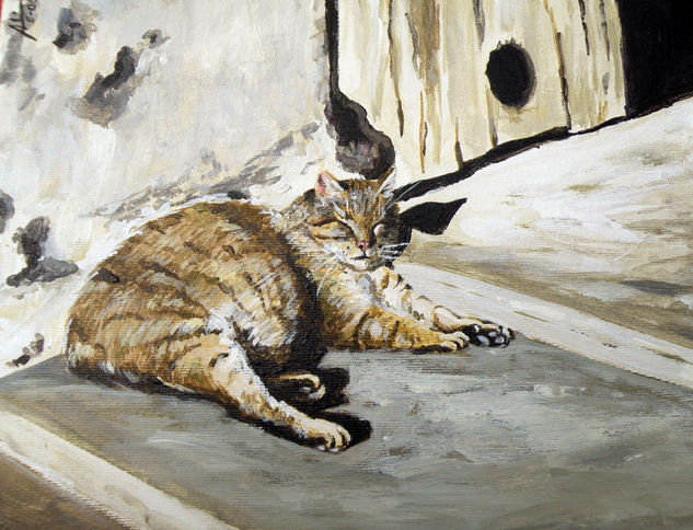 Gata tomando el sol Acrylic Canvas Portrait