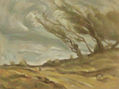 PAISAJE