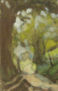 PAISAJE