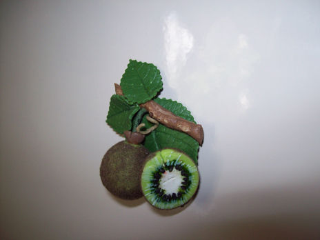Kiwi