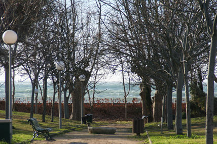 Parque en invierno