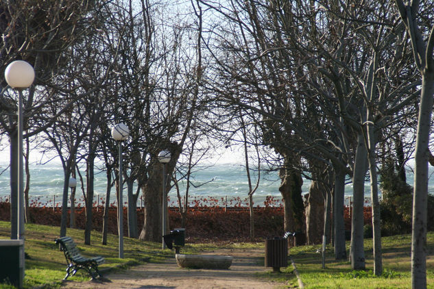 Parque en invierno 