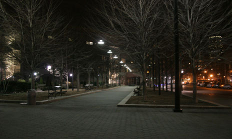 NEW YORK WINTER
