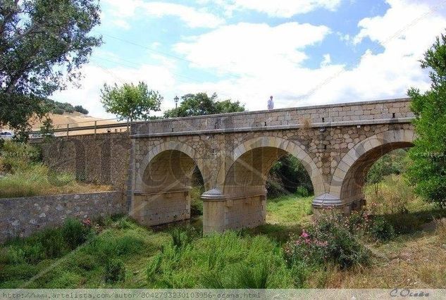 Puente del Olivar Arquitectura e interiorismo Color (Digital)