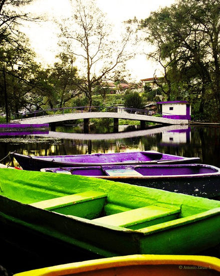 Colores sobre el agua Nature Color (Digital)