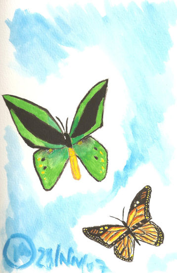 Mariposas Acuarela Papel Animales