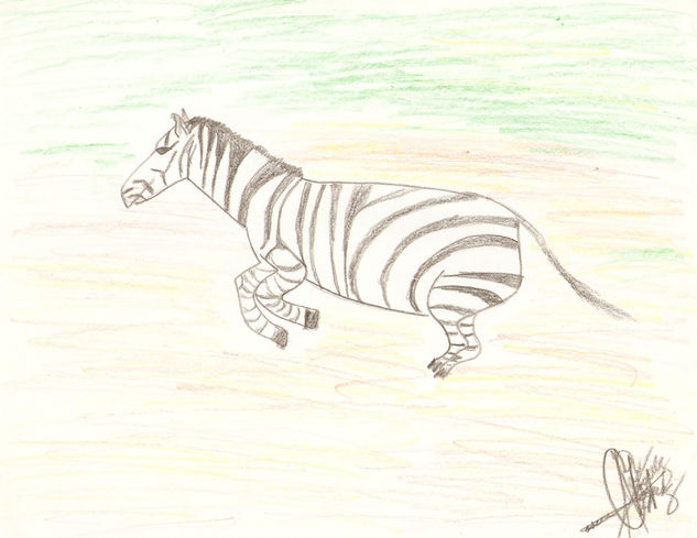 Zebra Lápiz (a color) Papel Animales