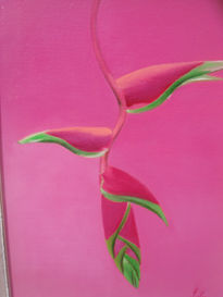 Heliconia rosa