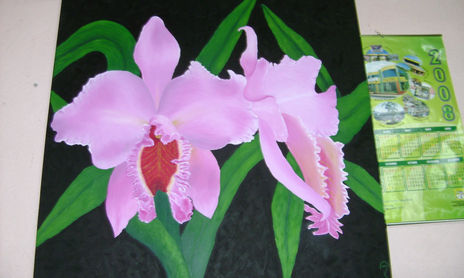 Mis orquideas