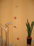 pintura decorativa en pared