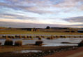 Laguna Pétrola 3. Albacete. España.