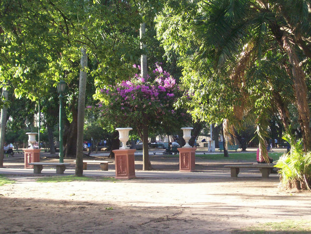 Buenos Aires urbanos 