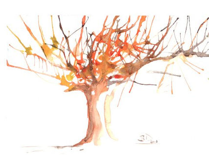 Inspiración Otonial