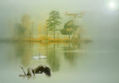 Woman lake
