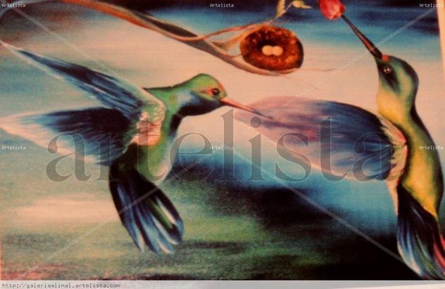 EL COLIBRI Y LA FLOR