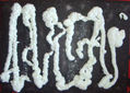 CUADRO CON RELIEVE GUSANOGUSÁ