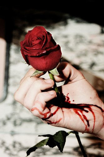 Metamorfosis de la Rosa