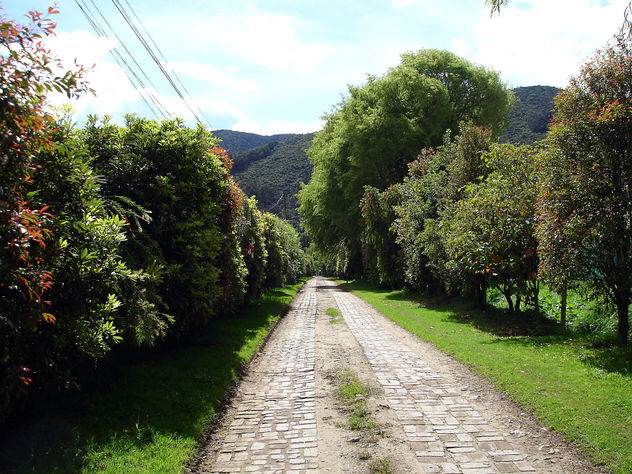Sendero En Cota
