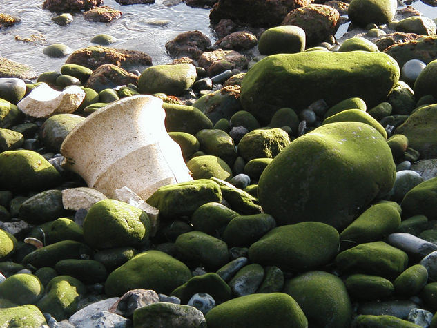 Entre piedras verdes 