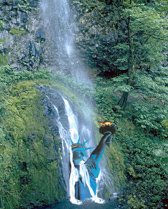 estatua de la libertad sobre el agua 