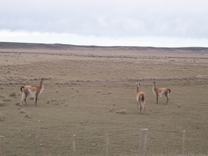 Camino a Tierra del...