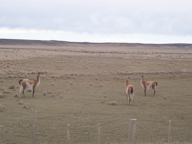 Camino a Tierra del Fuego