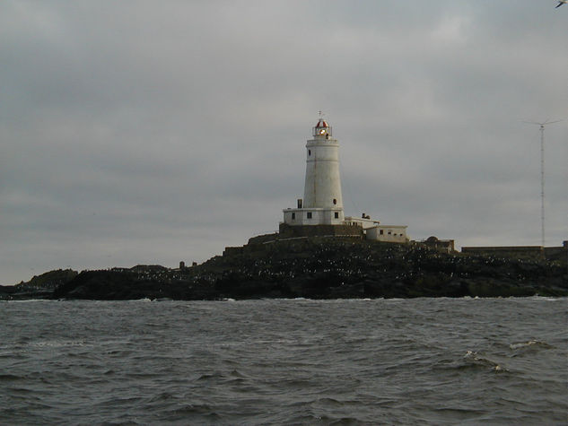 Isla de Flores Uruguay 