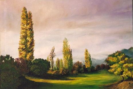 Huerto del tio meri