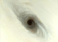 black hole