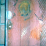Arte Accidental thumbnail 2