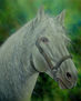 caballo 2