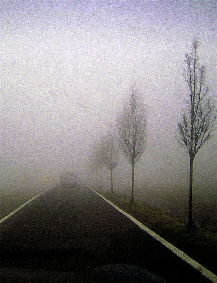 Sotto la nebbia