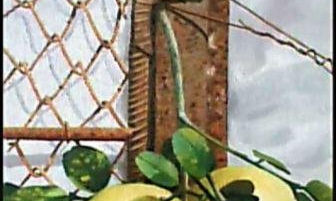 Naturaleza Muerta
